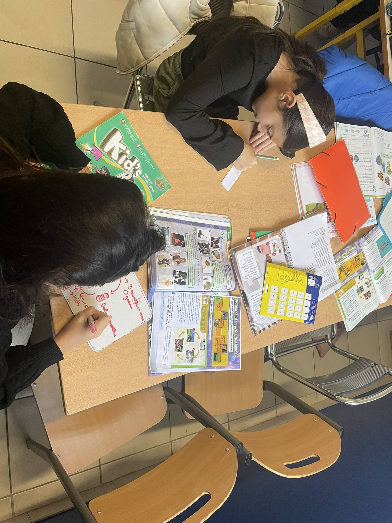 Pour un soutien scolaire anglais qui améliore l’avenir de votre enfan